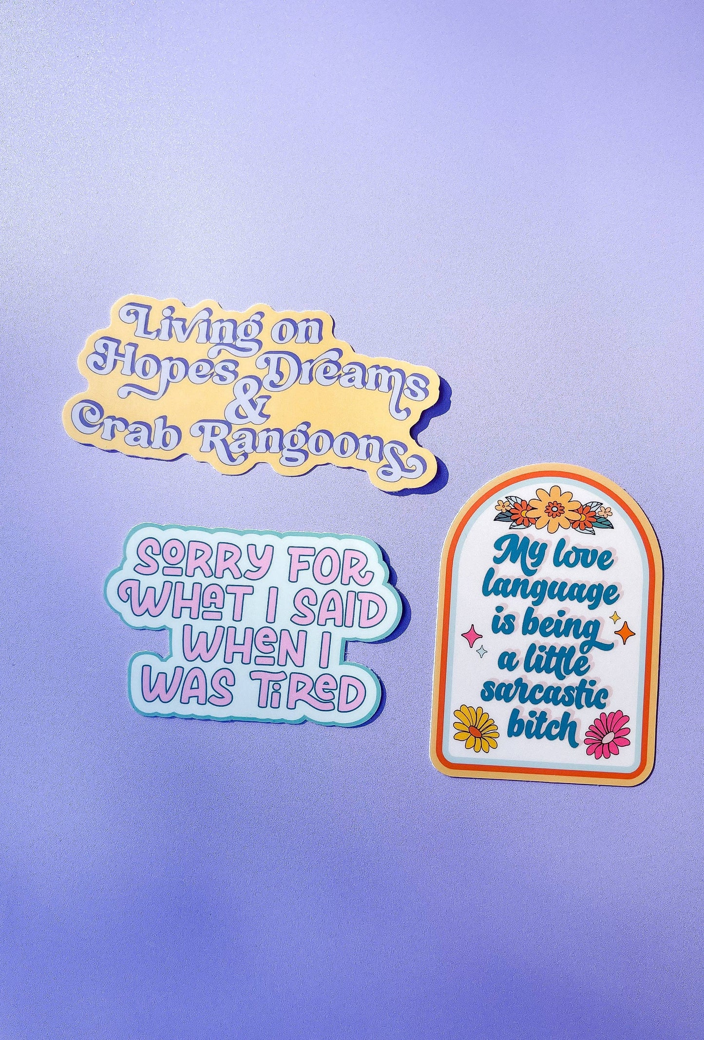 Sorry for What I Said When I Was Tired Sticker