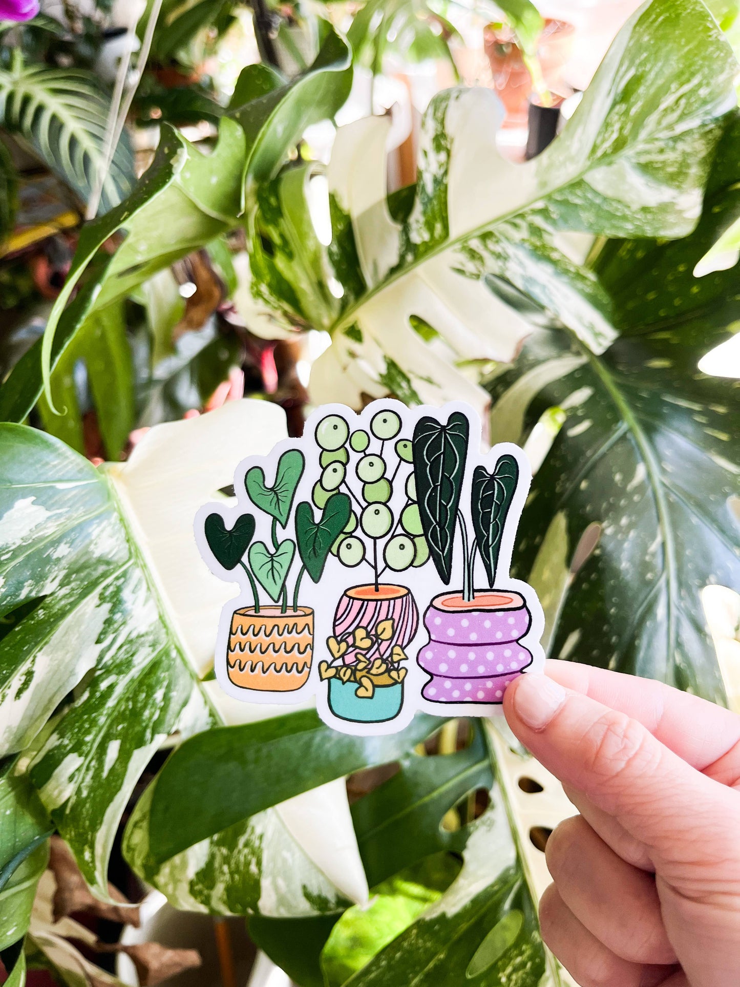 Potted Plants Sticker
