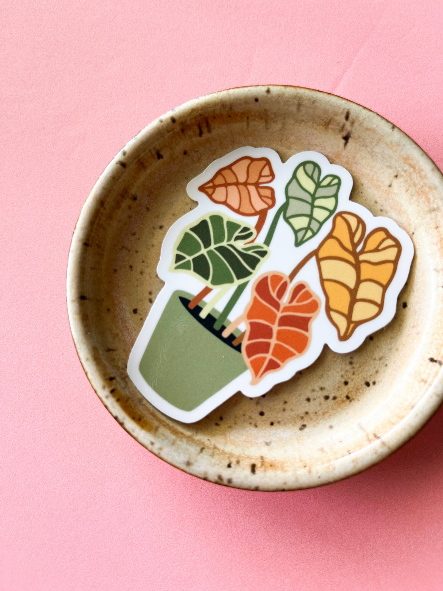 Alocasia Plant Sticker