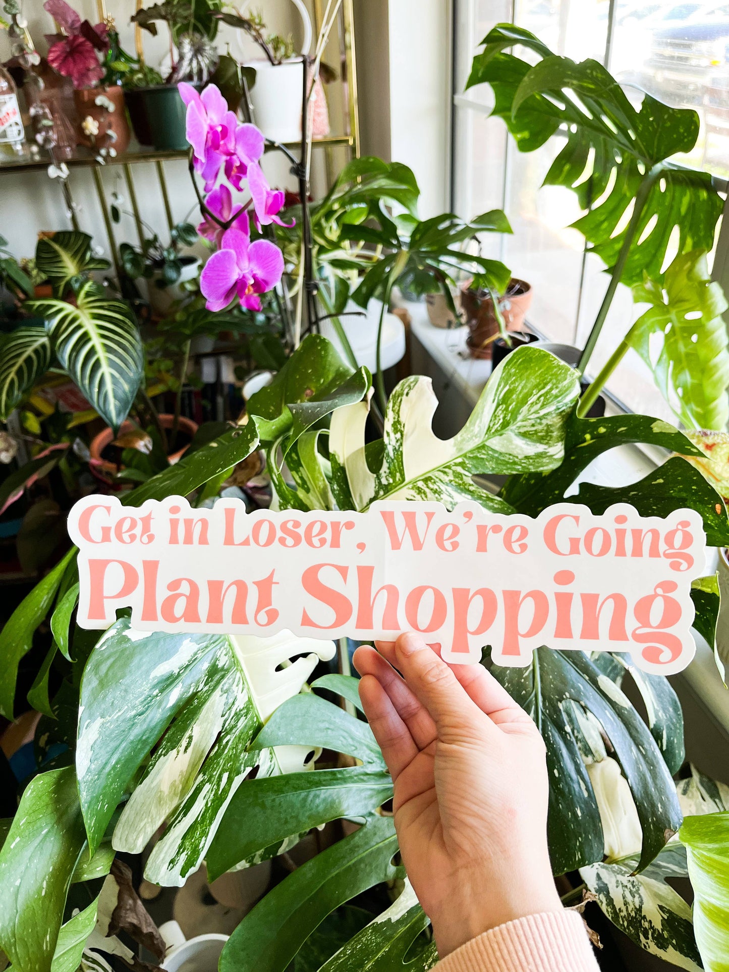 Get in Loser, We’re Going Plant Shopping- Bumper Sticker