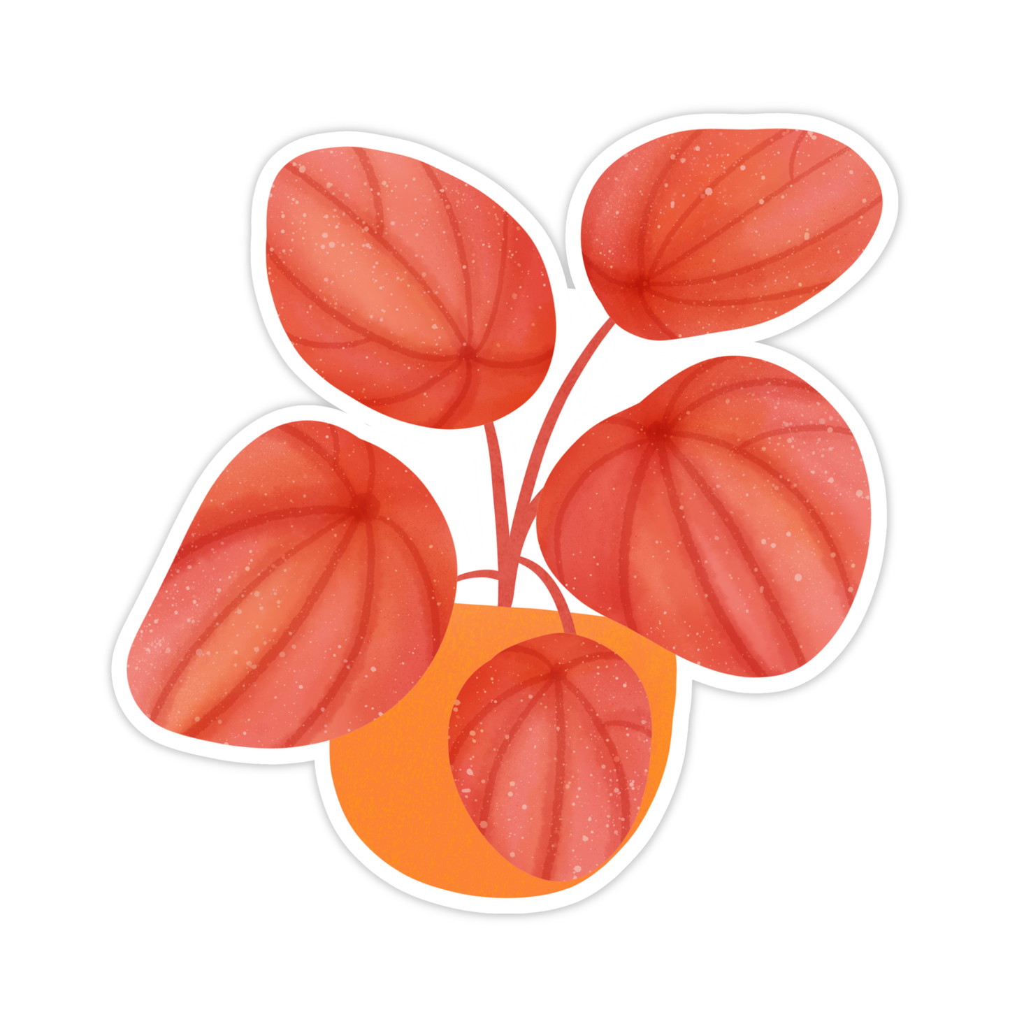 Peperomia Quito Plant Sticker