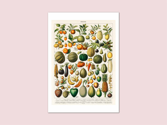 Fruits Millot Vintage Print
