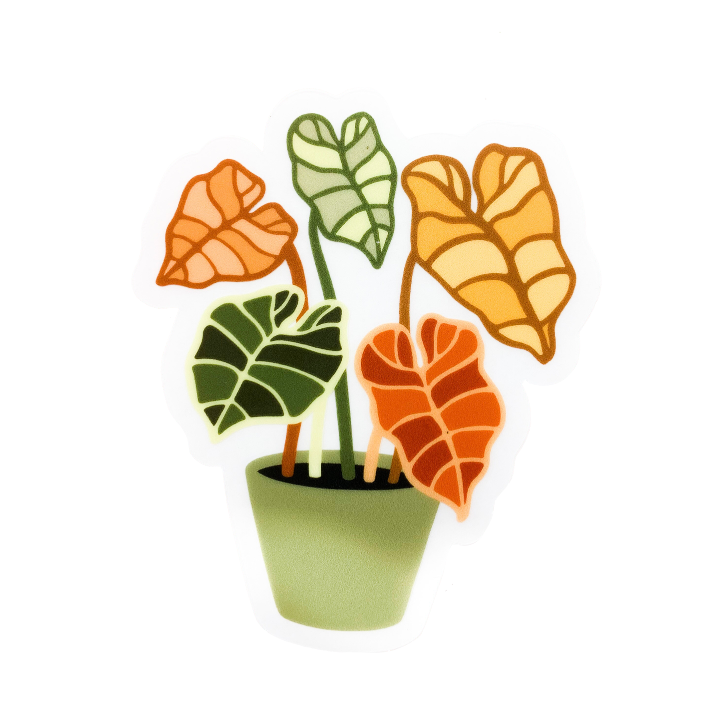 Alocasia Plant Sticker